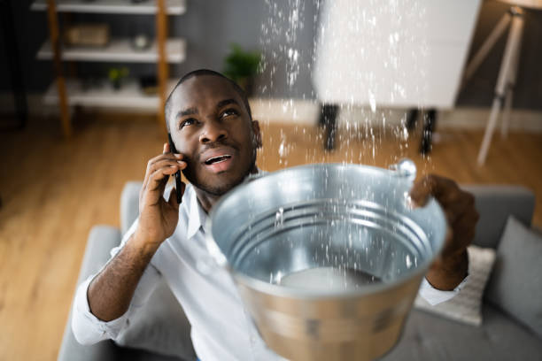 Best Commercial water damage restoration  in Castle Rock, CO