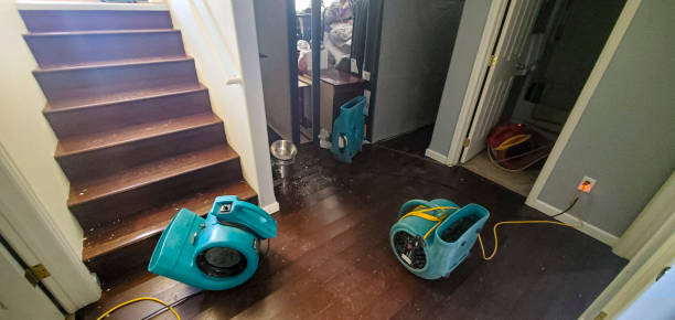 Best Local water damage restoration  in Castle Rock, CO
