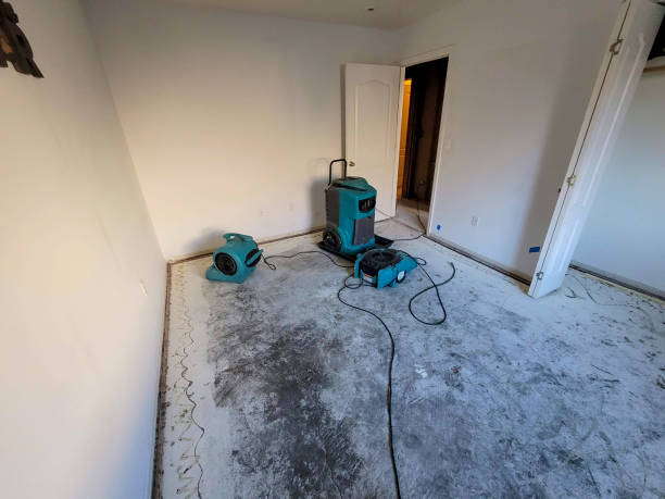 Best Residential water damage restoration  in Castle Rock, CO