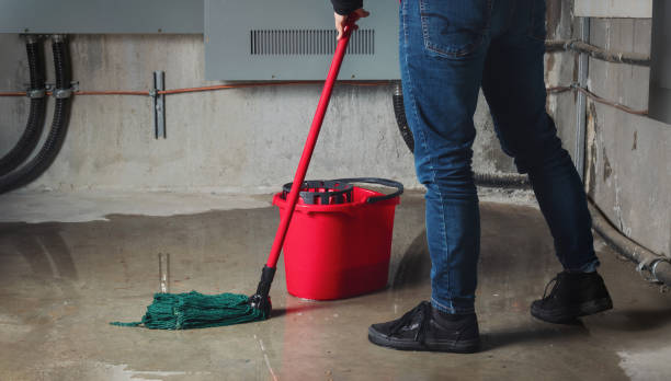 Professional Water damage restoration in Castle Rock, CO