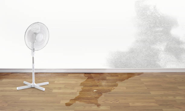 Best Water damage restoration near me  in Castle Rock, CO