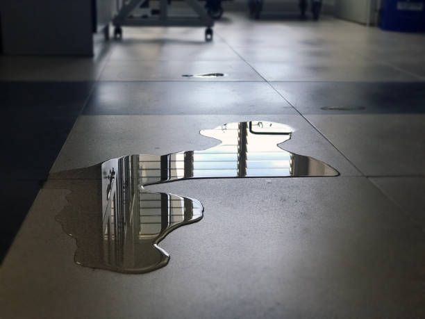 Best 24/7 water damage repair  in Castle Rock, CO