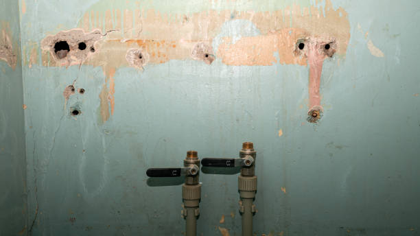 Best Mold removal after water damage  in Castle Rock, CO