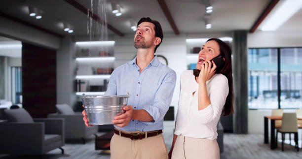 Best Professional water damage repair  in Castle Rock, CO