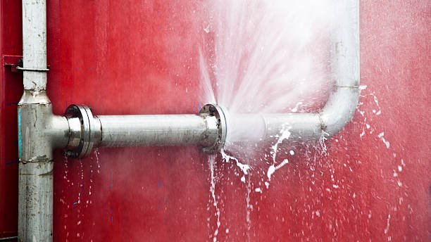 Best Water damage repair service  in Castle Rock, CO