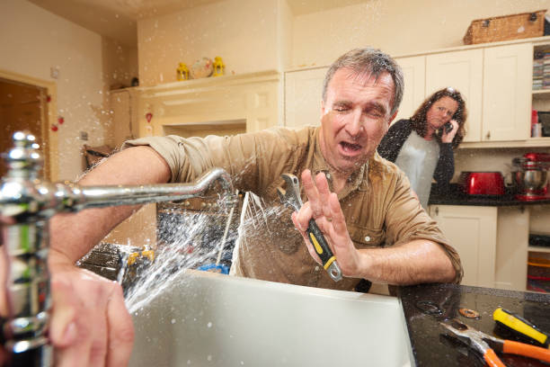 Best Mold removal after water damage  in Castle Rock, CO